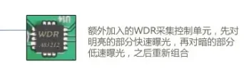 WDRLS300.webp