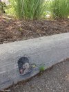 gardeningbydavidzinn.jpg