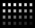 CPL_Test-1.webp