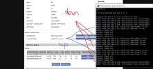 up_down_up_down_and_so_on.webp