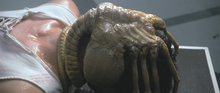 220px-Alien-The_Facehugger.png