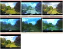 overview all.webp