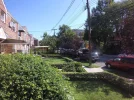 YDXJ0270.webp