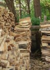 hidden-cat-wood-pile-logs-1.jpg