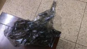 Film 004.webp