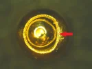 Viofo GPS Pin.webp