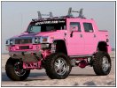 PinkHummer.jpg