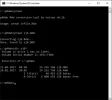 pRAWn.webp