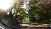 Tree 3.webp Tree 3.webp
