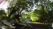 Trees 2.webp Trees 2.webp