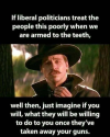 guns and politicians.png