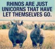 Rhinocorns.jpg