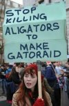 save the gators.jpg