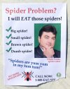 spiders.jpg