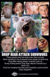 bear attacks.jpg