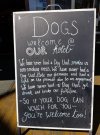 dogs welcome.jpg