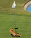 hole in one.png