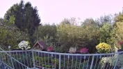 02 - WVGA.webp