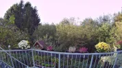 03 - 720P 30FPS.webp
