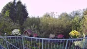 08 - 1080P 60FPS.webp
