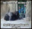 zoo visit.jpg