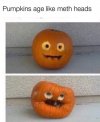 pumpkins.jpg