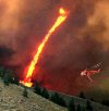 firenado.jpg