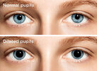 pupils.jpg