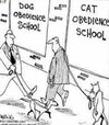 animal obedience school.jpg
