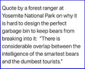 bears_tourists.jpg