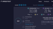 313 Mbps Download & 21 Mbps Upload .png