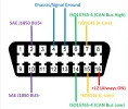 OBD2 16-PIN DLC .webp