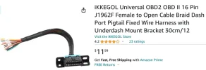 Female Pigtail .webp