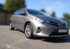 Auris_front.png