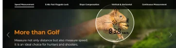 Slow Down! .webp