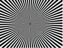 1 .webp