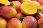 mango_fruit.jpg