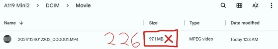 7.) A119 Mini 2 1 Minute File Size .webp