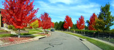 20141018-Fall-Colors1.png