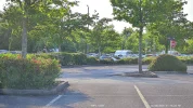 vlcsnap-2025-06-02-20h54m04s514.webp