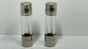 2 Amp Fuse - F2AL 250V  .webp