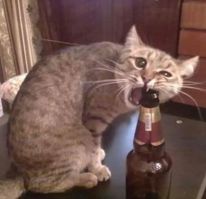 funny-pictures-1-15-26-13.jpg.webp