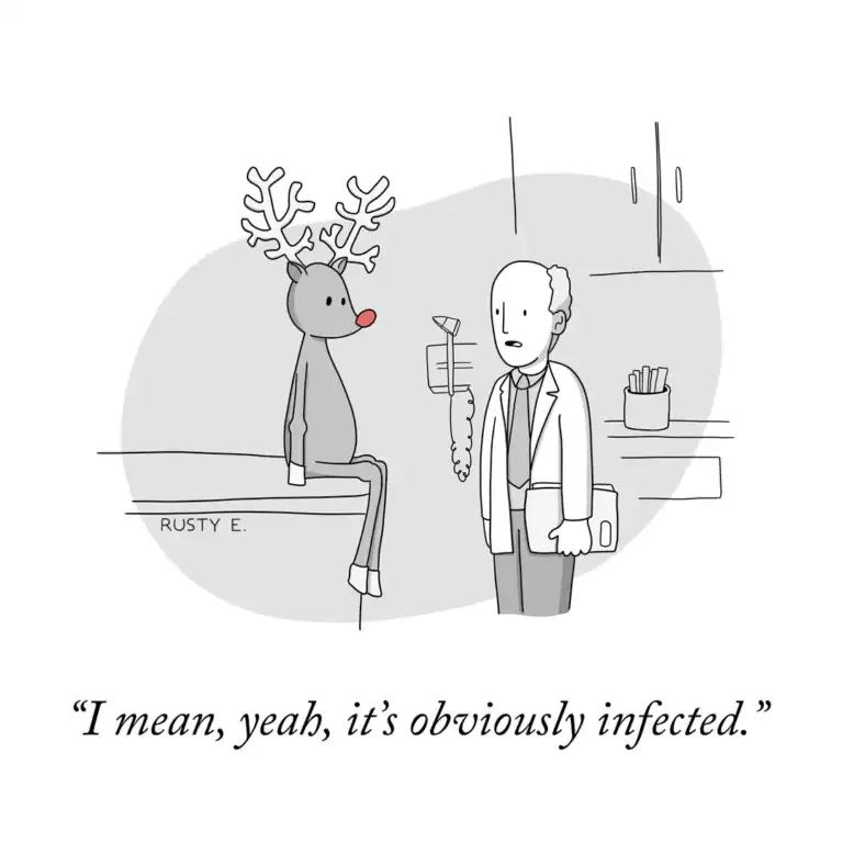 funny-pics-12-18-2513-768x768.webp
