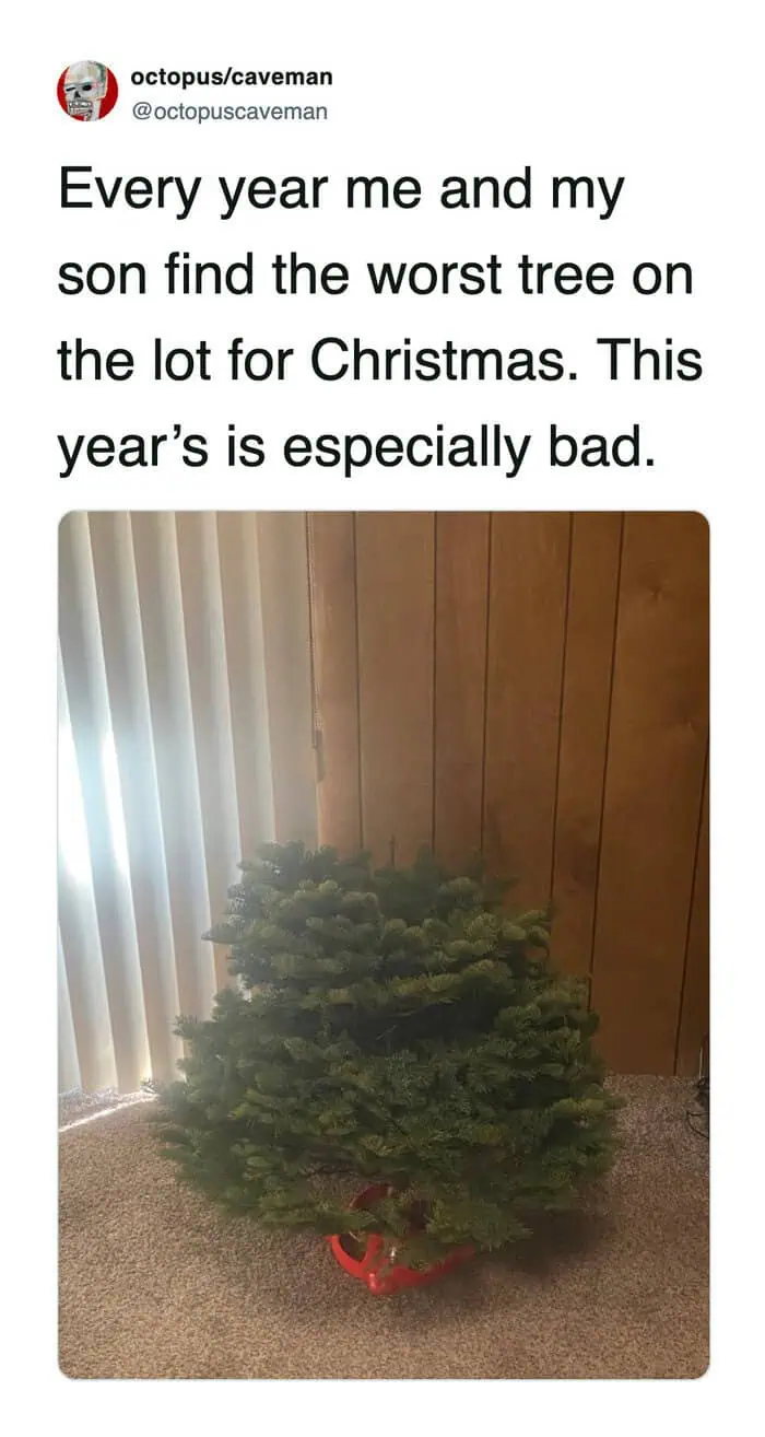 funny-pictures-12-16-25-19.jpg.webp