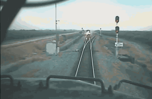 b3g0s7q.gif