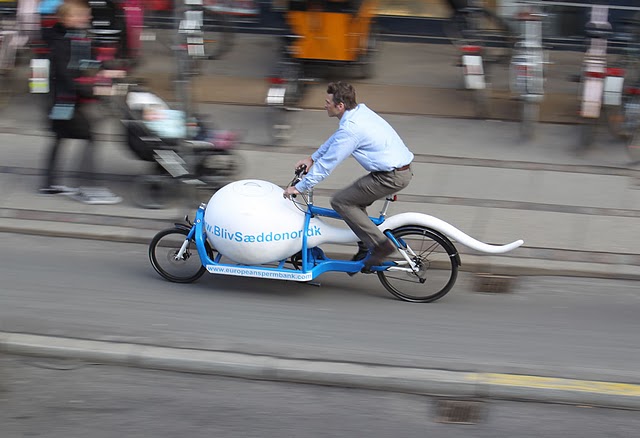 spermbike1.jpg