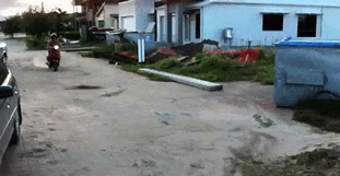 post2.jpg