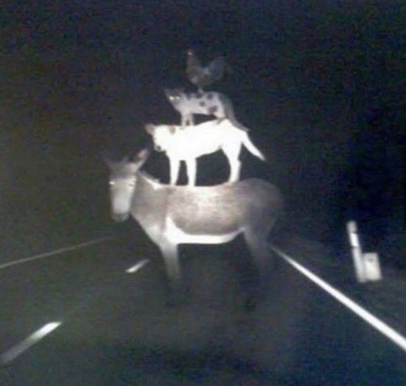 funny-low-context-media-images2.jpg