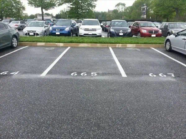 funny-pictures-11-12-25-5.jpg.webp