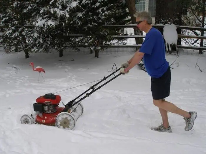 funny-pictures-1-8-25-22.jpg.webp